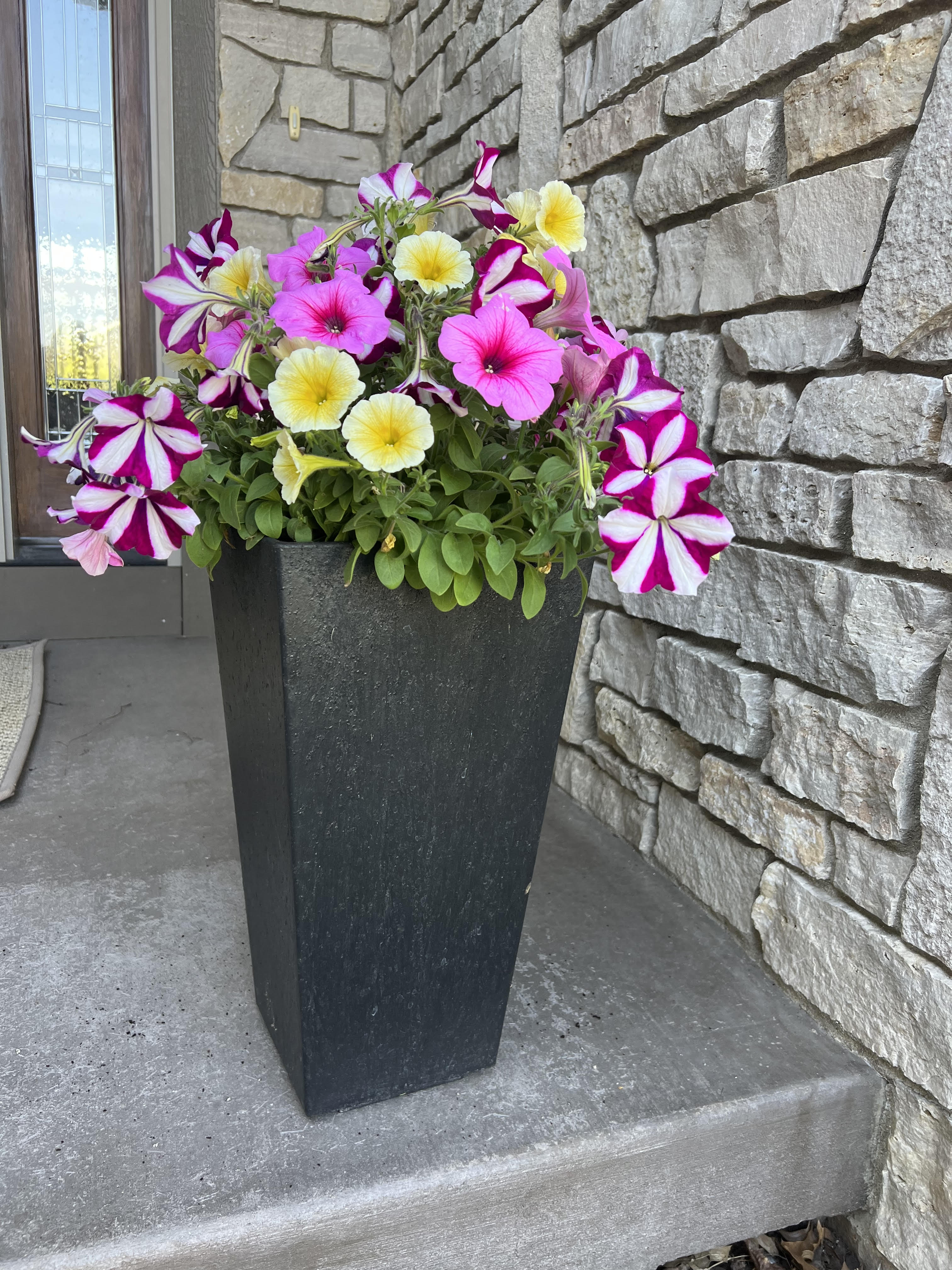 Annual Flower Pot Workshop - May 11